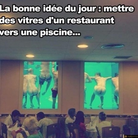 Quand les hommes décident de troller