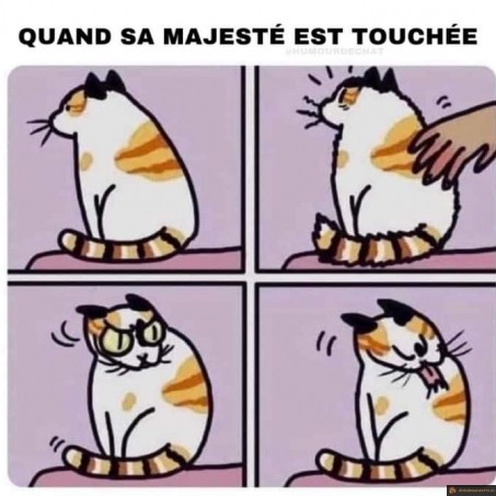 Quand sa majesté est touchée