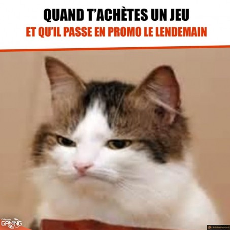 Quand t'achètes un jeu plein tarif