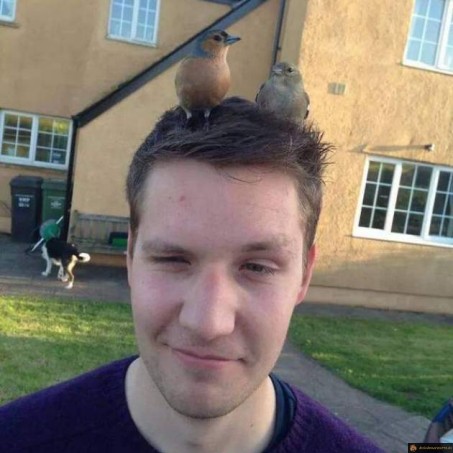 Quand ta coupe de cheveux ressemble à un nid