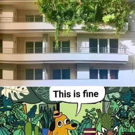 Quand tu aimes un peu trop les plantes