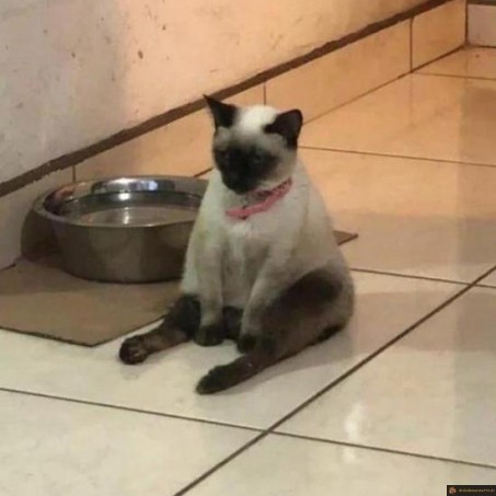 Quand tu attends l'heure pour manger