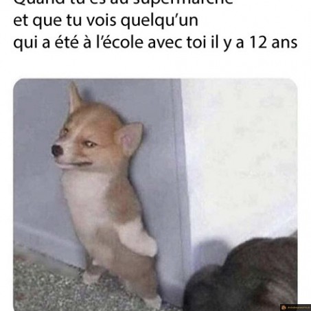 Quand tu es au supermarché