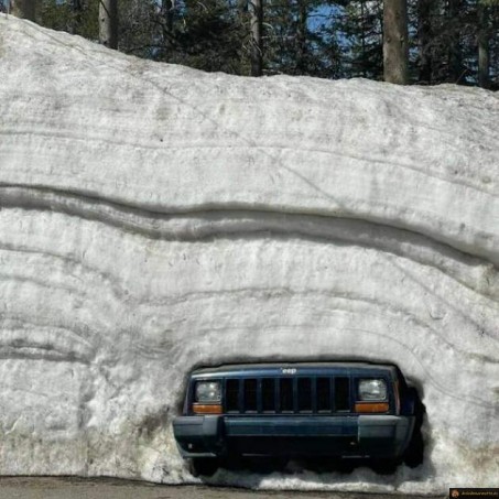Quand tu n'as pas sorti la voiture de l'hiver