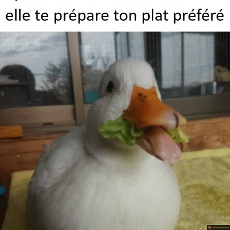 Quand tu vas chez mamie