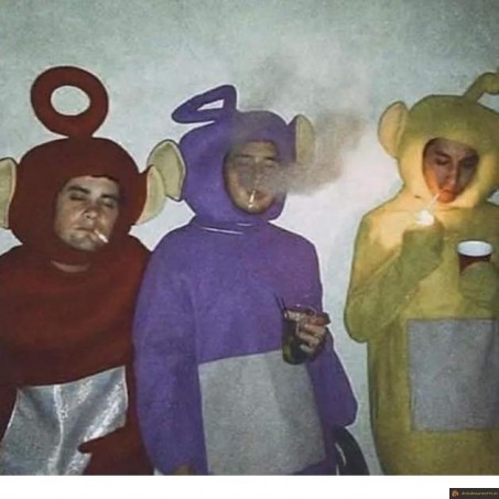 Que sont devenus les teletubbies