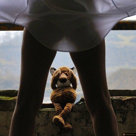 Quel beau tigre!