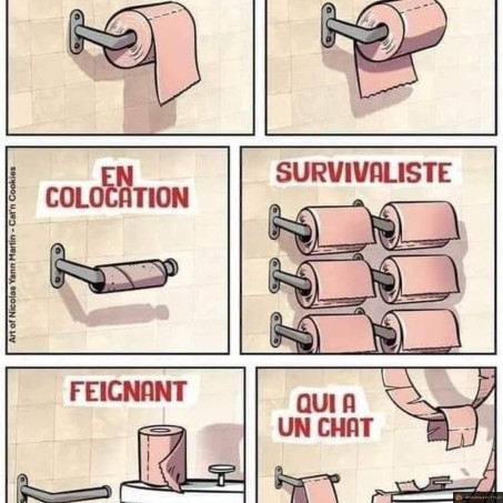 Qui es tu grâce à ton pq?