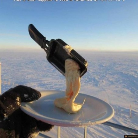 Raclette gelée en Antartique
