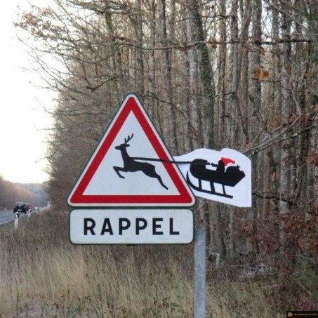 Rappel cerf volant