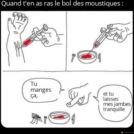Ras le bol des moustiques