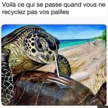 Recyclez vos pailles