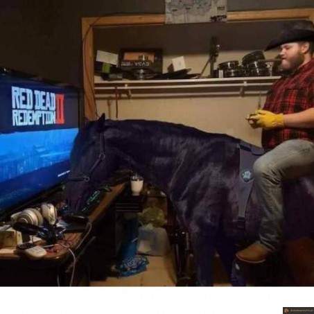 Red dead RP 