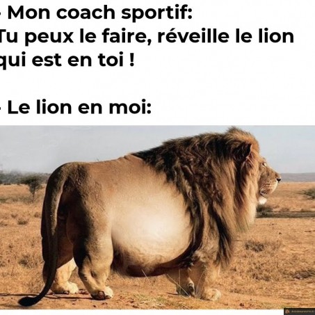 Reveille le lion qui est en toi