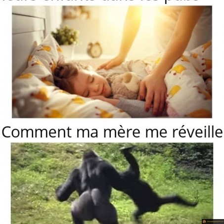 Réveillé par sa mère