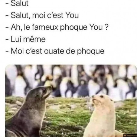 Salut, moi c'est You