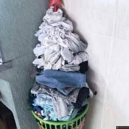 Sapin de linge sale