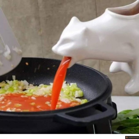 Saucière vomito