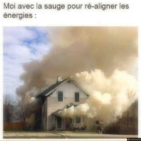 Sauge pour réaligner les énergies