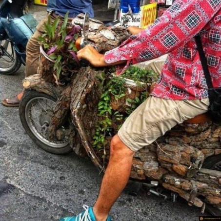Scooter en bois