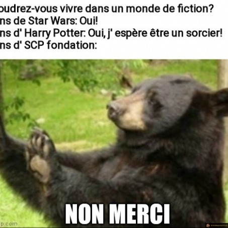 SCP fondation