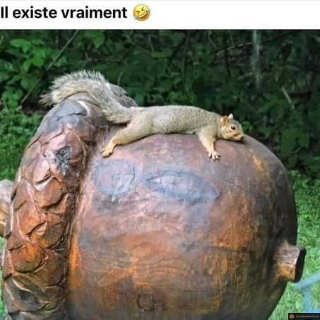 Scrat existe vraiment