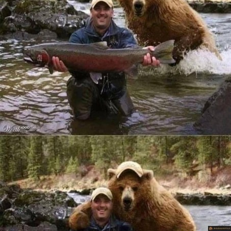 Selfie avec un ours