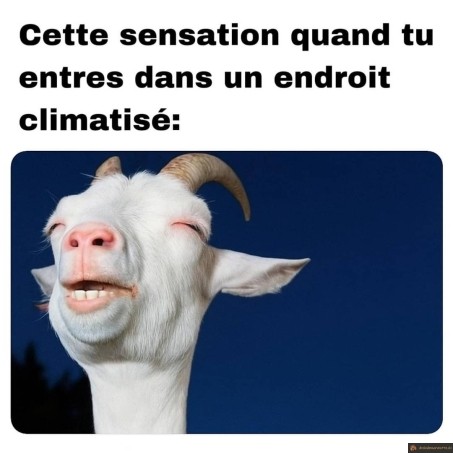 Sensation endroit climatisé