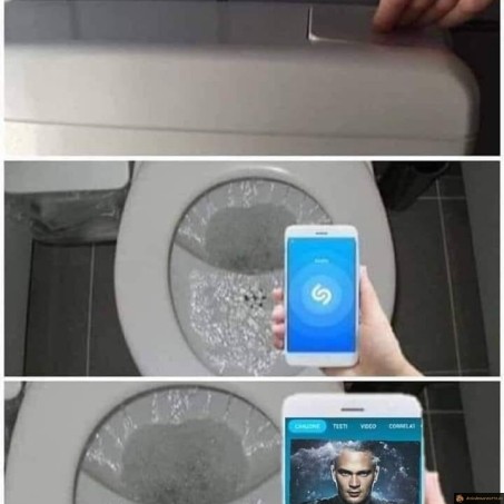 Shazam chasse d'eau
