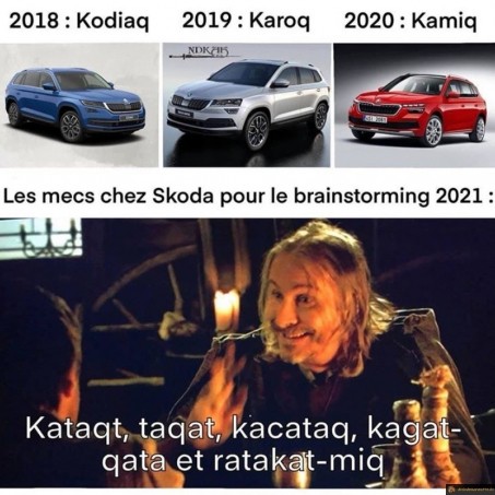Skoda kaamelott