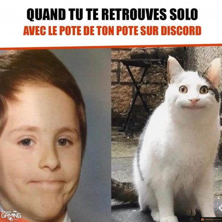 Solo sur Discord