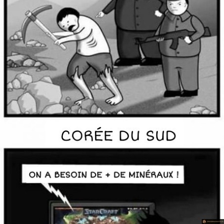 Starcraft en vrai