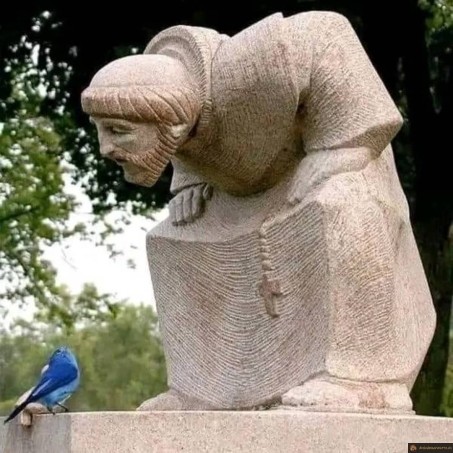 Statue regarde oiseau