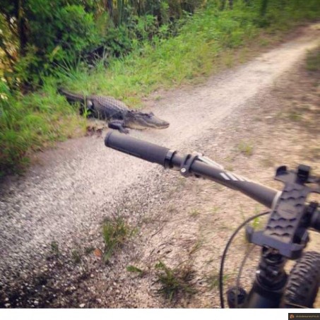 Surprise en vtt