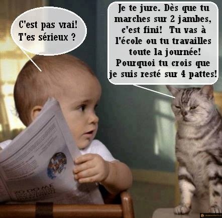 T'es sérieux?