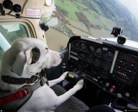 T'inquiete je gère avec l'avion