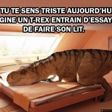 T-rex fait son lit