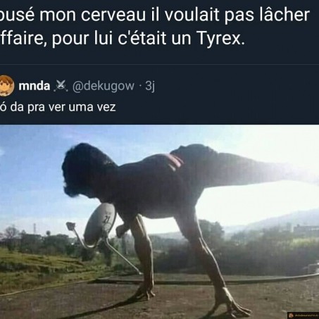 T-rex ou pas?