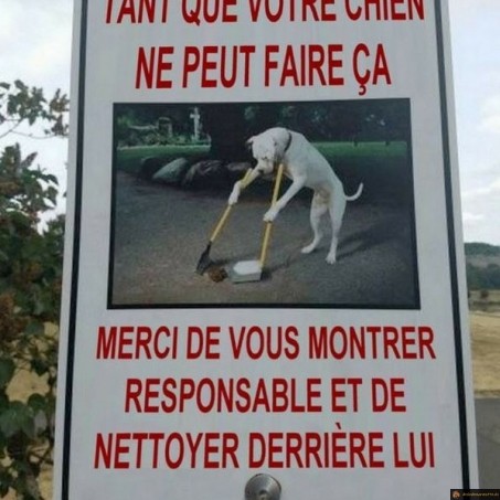 Tant que votre chien ne peut faire ça