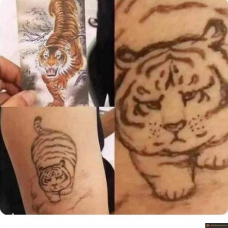 Tatouage Tigre gros chat