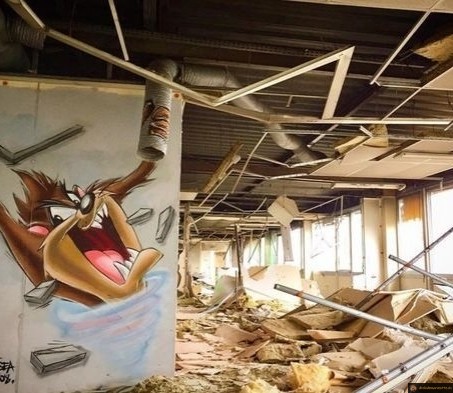 Taz a encore frappé
