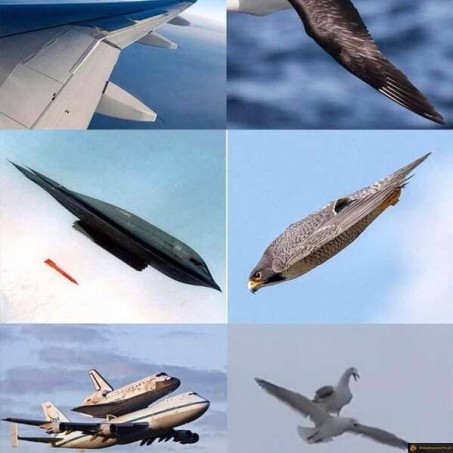Technologie imitant la nature
