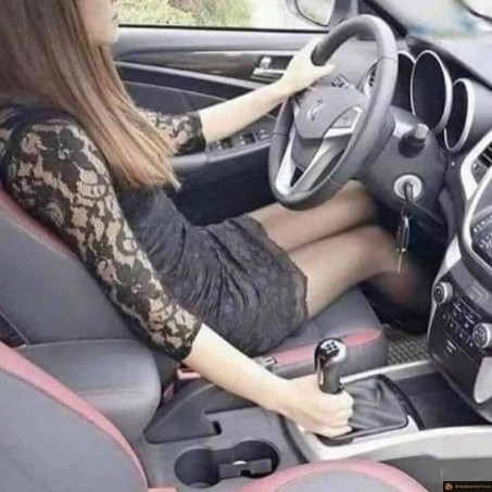 Tenir fermement le pommeau de vitesse