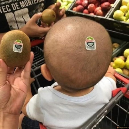 Tête de kiwi