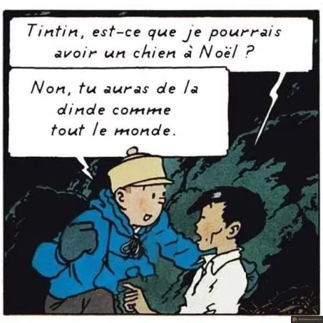 Tintin chien à Noël