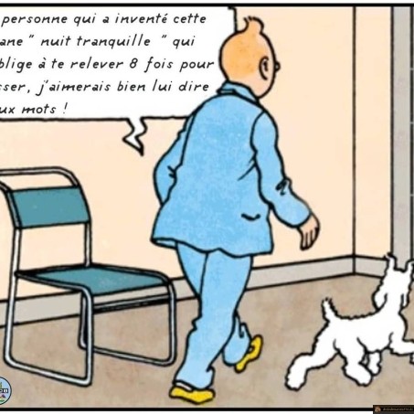 Tintin tisane nuit tranquille