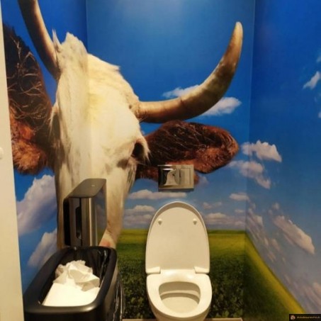 Toilette vache
