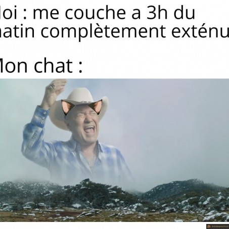ton chat quand tu te couches tard