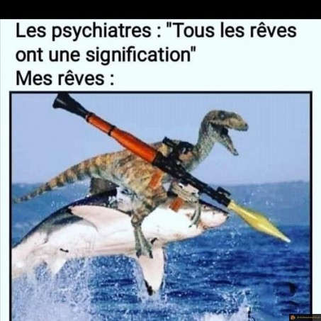 Tous les rêves ont une signification