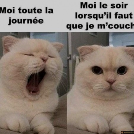 Toute la journée